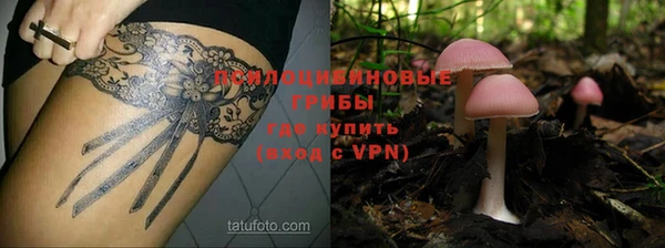 бутират Алексин