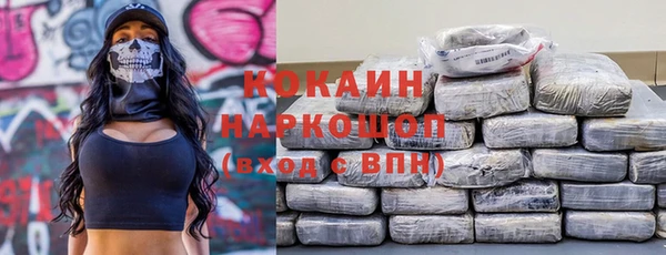 гашик Алзамай