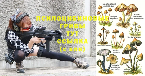 прущие крисы Алексеевка
