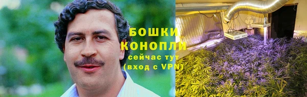 гашик Алзамай